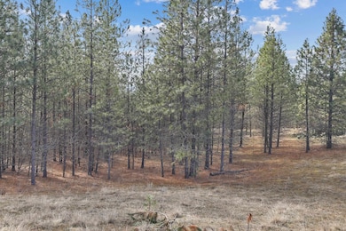 NKA Weaver Rd unit Lot 3 of Lot 11, Deer Park, WA 99006 - photo 5