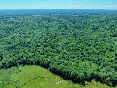4) Montsweag Woods, Foye Road, Wiscasset