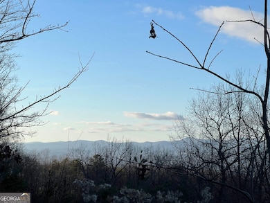 0 Daybreak Rd unit 10656893, Cleveland, GA 30528 - photo 3