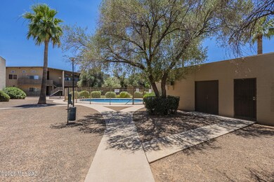 1-web-or-mls-Alvernon-1
