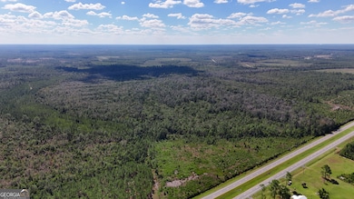 0 U S 84 unit 1 10563254, Homerville, GA 31634 - photo 3