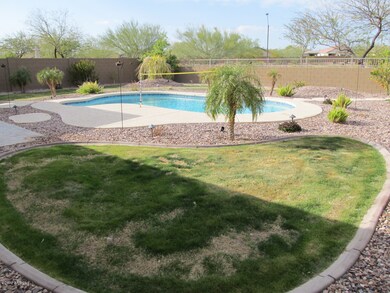 Back yard