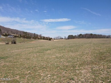Tbd River Village Ln, Afton, TN 37616 - photo 6