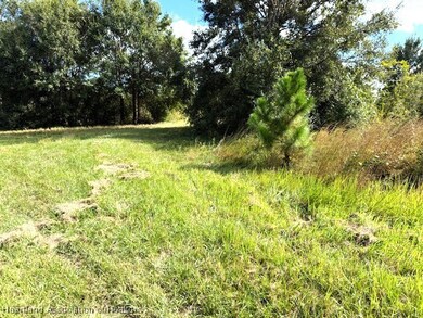 3313 W Jurgenson Rd, Avon Park, FL 33825 - photo 4