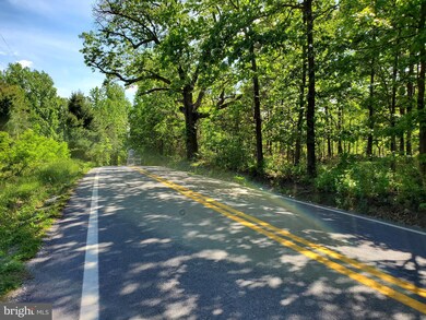 17.08 Acres Apple Harvest Dr, Glengary, WV 25421 - photo 4