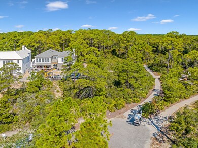 116 Featherbed Aly, Inlet Beach, FL 32461 - photo 4