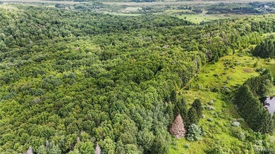 00 Beebe Hill Rd, Cuba, NY 14727 - photo 6