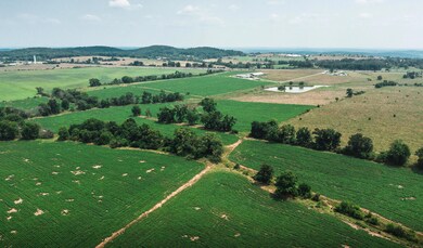 DJI_0194