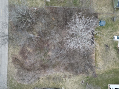 dji_fly_20250325_174222_9_1742938442479_