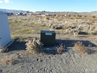 0 Koala Dr unit NWM2181628, Omak, WA 98841 - photo 3
