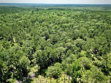 000 William Colvin Rd, Bernice, LA 71222 - photo 7