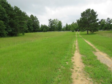 0 Eagle Port Rd, Quinton, AL 35130 - photo 7