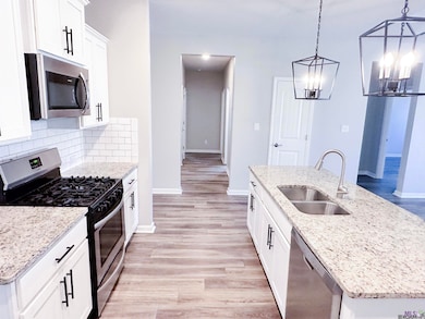 17490 Soaring Flight Dr, Prairieville, LA 70769 - photo 7