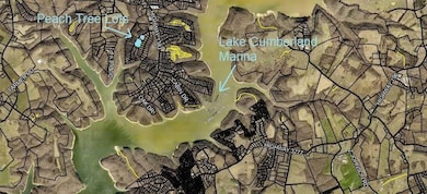 Peach Tree Map Big