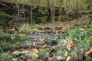 0 Wolf Springs Rd N, Harrison, AR 72601 - photo 6