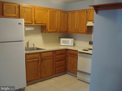 1001 Hunter Ave, Swarthmore, PA 19081 - photo 3