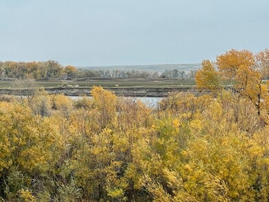 Treed Area