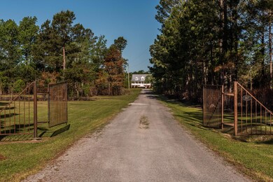 357 Wheeler Rd, Andrews, SC 29510 - photo 3