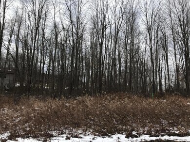 0 Kingsway Cir unit 175 & 176 218002276, Howard Township, OH 43028 - photo 6