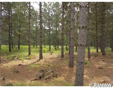 26853 Icehouse Bridge Rd, Webster, WI 54893 - photo 6