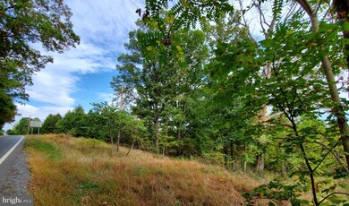 50.74 Acres Apple Harvest Dr, Gerrardstown, WV 25420 - photo 3