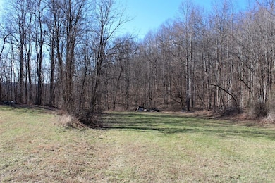 Tiny Jones Road Wp Lot unit 2, Stanton, KY 40380 - photo 7
