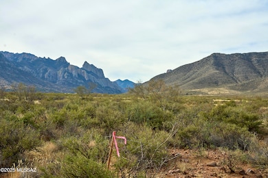 Tbd Foothills Rd unit A, Portal, AZ 85632 - photo 4