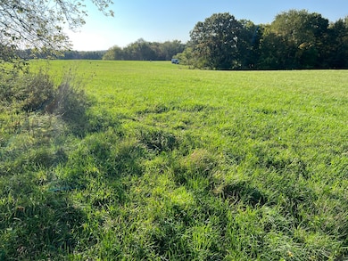 3-521 Shady Ln, Cherry Grove-Shannon Township, IL 61046 - photo 3