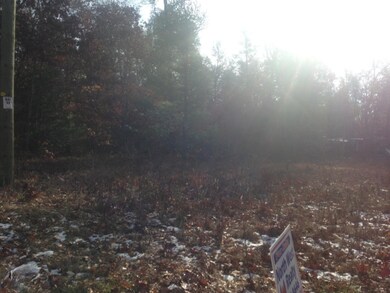 3322 S Woodin Dr, Webber Township, MI 49304 - photo 2