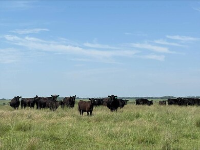 509th Avenue, Oneill, NE 68763 - photo 6