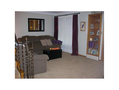 Roomy Living Room