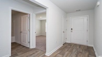 316 Spruce Pine Way unit Lot 158 - Cali A, Conway, SC 29526 - photo 3