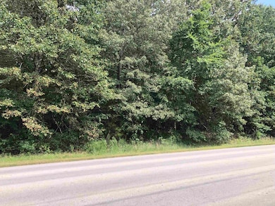 000 N Rockingchair Rd, Paragould, AR 72450 - photo 4