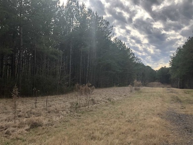 0 Andrew Chapel Rd unit 1319547, Brandon, MS 39042 - photo 2