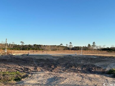 6927 Browns Way Shortcut Rd, Conway, SC 29527 - photo 2