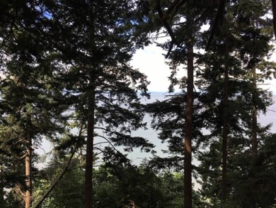 Lot 17 Mckenzie Way, Point Roberts, WA 98281 - photo 5