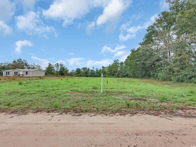 TBD Willow Grove Dr unit Lot 9, Loris, SC 29569 - photo 7