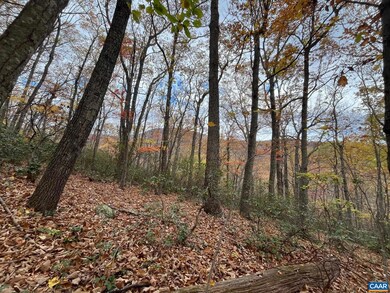 0 Tree House Place unit 658638, Nellysford, VA 22958 - photo 7