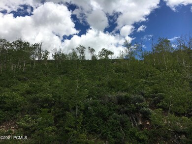 1747 W Mountain Haven Ln, Midway, UT 84049 - photo 4