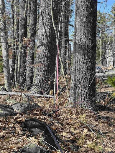 945 Route 16, Ossipee, NH 03864 - photo 5