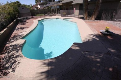Backyard4