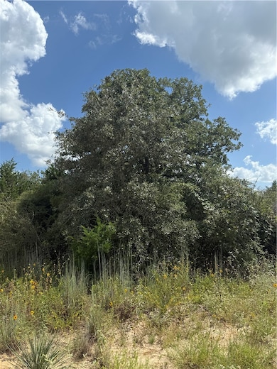 1163 Sugar Hill Rd, Caldwell, TX 77836 - photo 2