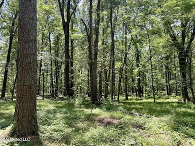 Springwood Trail Lot: 3, Flora, MS 39071 - photo 4