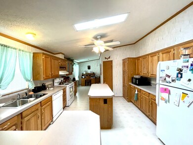 104 W Sycamore St, Malden, IL 61337 - photo 4