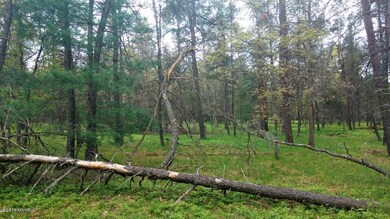 IMG_20160527_133529641
