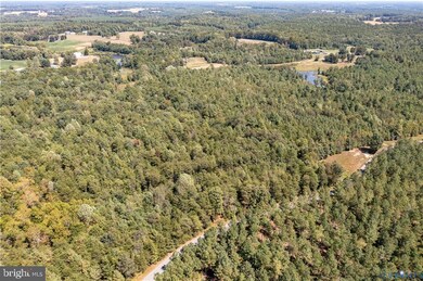 0 File Rd unit VACV2008830, Milford, VA 22514 - photo 5