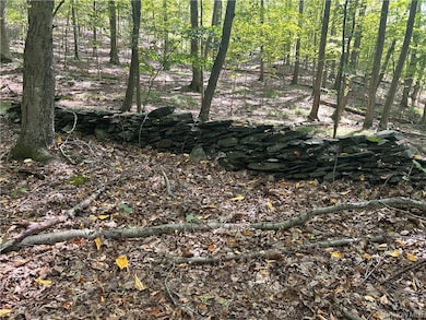 0 Westfall Rd, Ancram, NY 12502 - photo 7