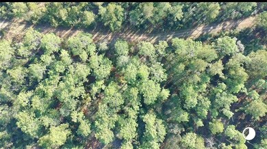 0 Patterson Rd unit 7690565, Robertsdale, AL 36567 - photo 3