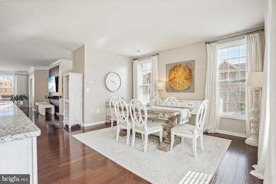 23500 Belvoir Woods Terrace, Ashburn, VA 20148 - photo 7