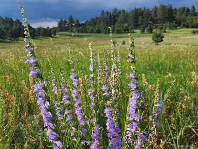 0 Hopper Rd unit REC6856040, Peyton, CO 80831 - photo 6